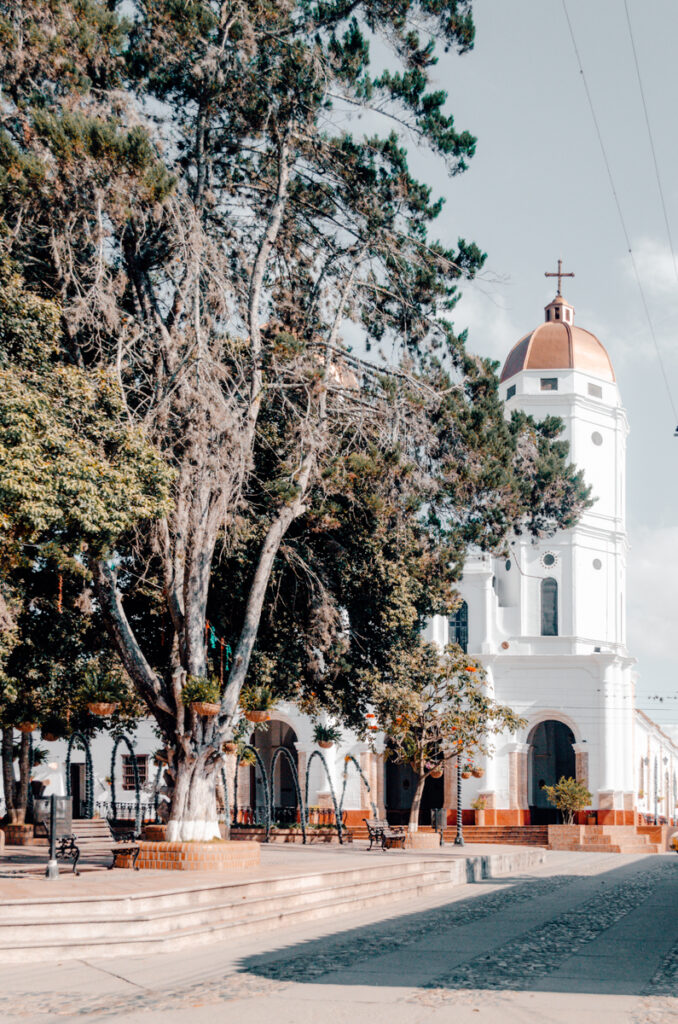 The sunlit facade of a church stands out amidst the shade of tall trees in La Playa de Belen, Colombia, creating a tranquil and inviting atmosphere in this quiet town square.