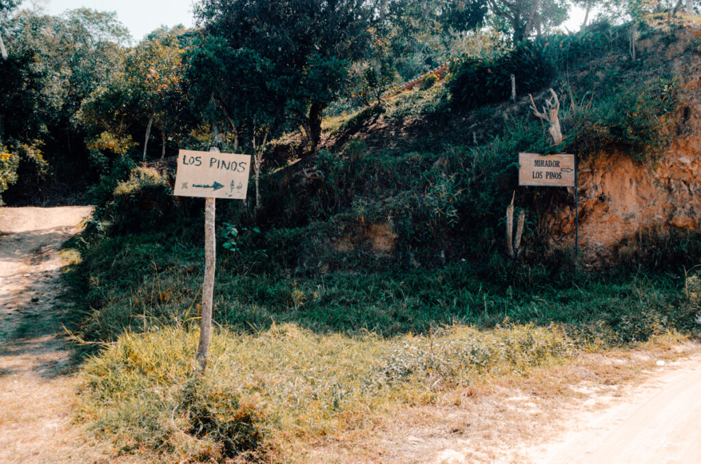 Hand-painted wooden signs for "Los Pinos" and "Mirador Los Pinos" point in directions along a dirt path, suggesting a scenic lookout point amidst the natural beauty of La Playa de Belen, Colombia.