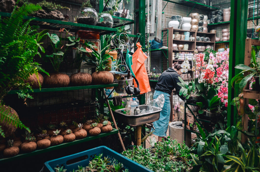 An intimate view of a gardening section in Paloquemao market, Bogota, showcasing a collection of potted plants and flowers, with a shopper examining the selection.
