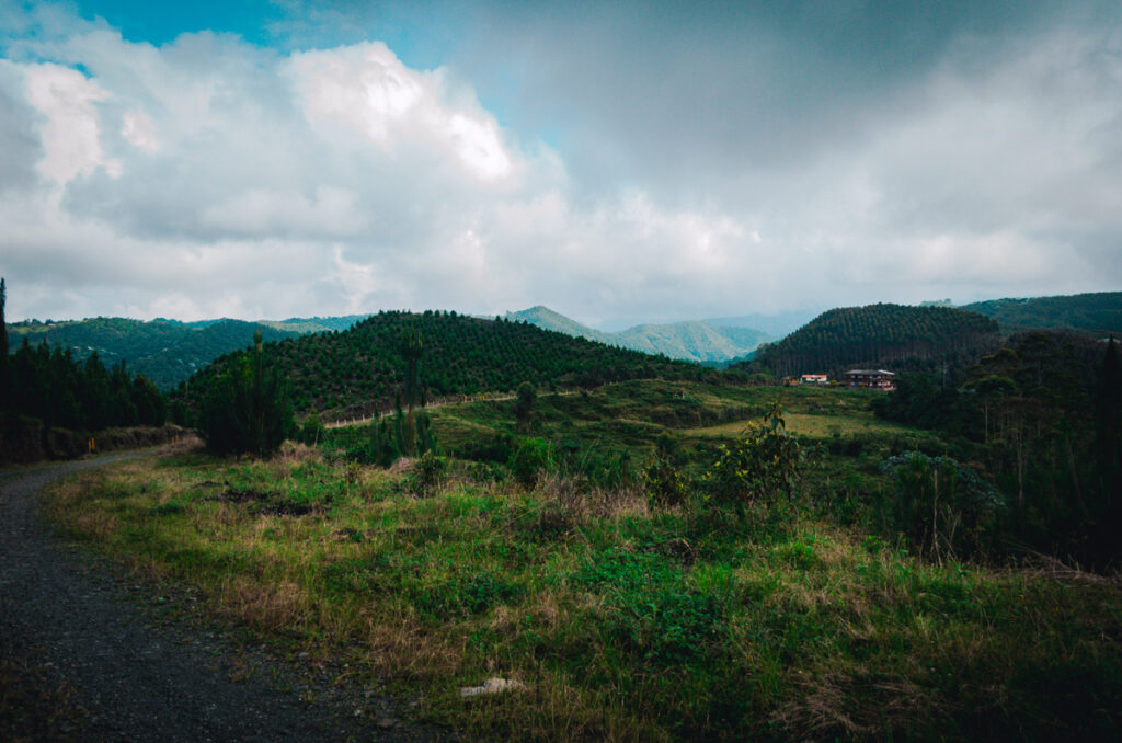 Cloudy skies over the verdant terrain of the Patasola Nature Reserve near Boquia, just outside Salento, Colombia. The image captures the essence of the region's natural beauty, ideal for eco-tourism and scenic drives.