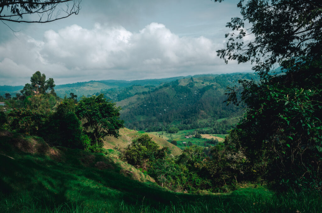 A serene landscape near Salento, Colombia, with lush, green rolling hills of the Zona Cafetero framed by verdant foliage, under a dynamic sky hinting at the region's rich biodiversity and tranquil rural life.