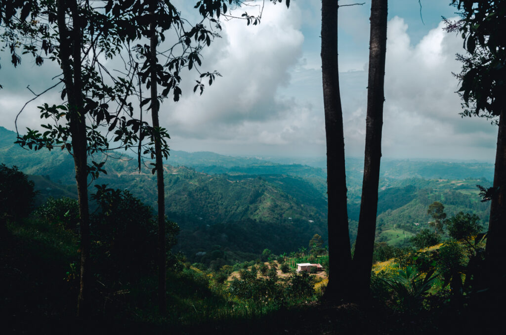 A serene view framed by trees, overlooking the verdant valleys and rural houses around Salento, Colombia, under a dramatic sky, a reminder of the tranquility found in the Zona Cafetero's countryside