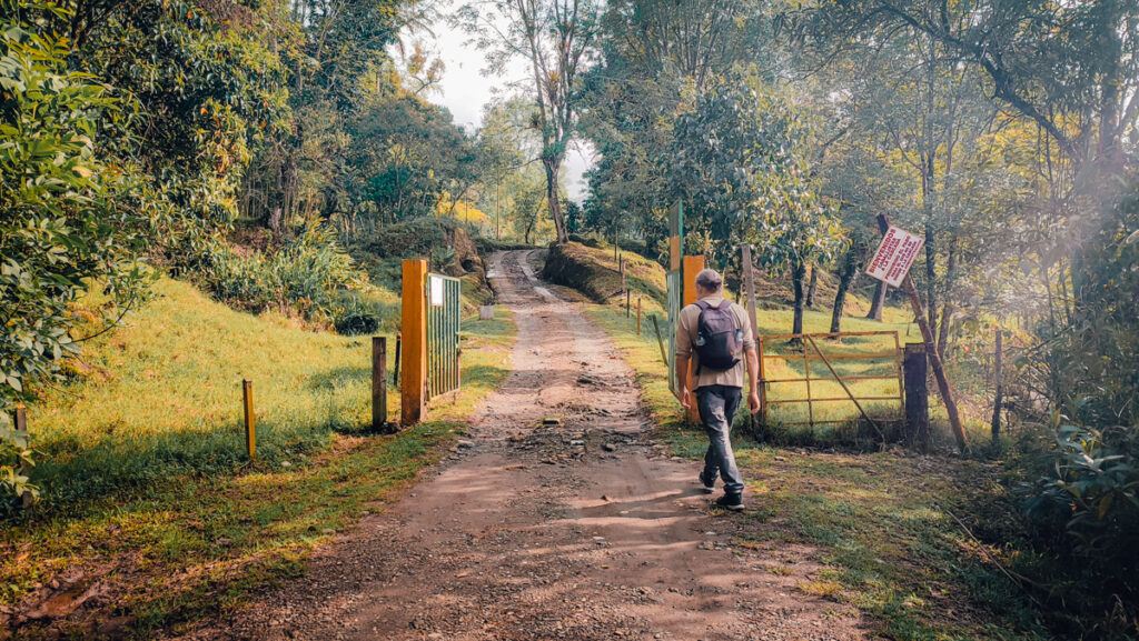 A hiker approaches the entrance of the Santa Rita trail near Salento, framed by verdant foliage and a rustic dirt path, with a signpost partially visible in the sunny, tranquil Colombian countryside.