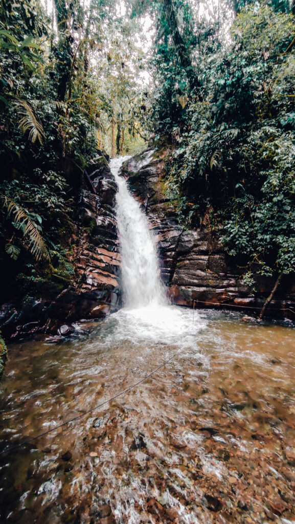 The dynamic Santa Rita waterfall cascades down rugged, mossy rocks surrounded by the dense foliage of the Colombian jungle, near Salento.