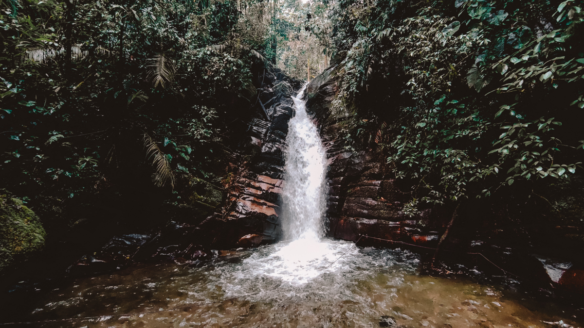 The Santa Rita Waterfall near Salento (Boquia), Colombia, a natural attraction surrounded by dense green foliage, offering visitors the tranquility of a secluded spot perfect for hiking and relaxation.