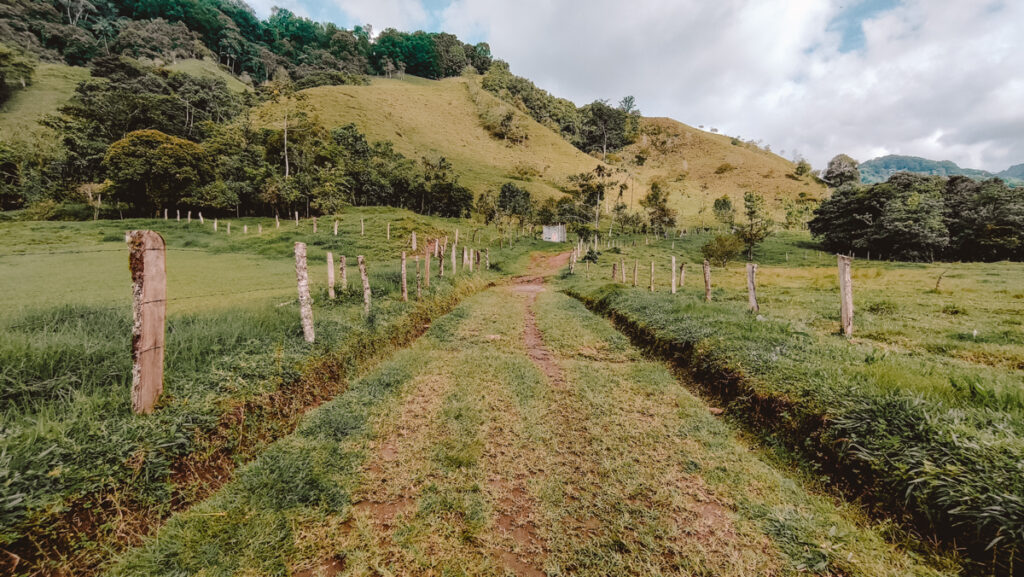 A rustic gravel path with wooden fences on either side, leading through a verdant pasture towards the lush hills near the Santa Rita waterfall in Colombia.