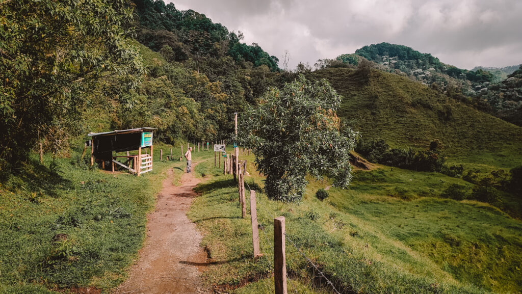 A wooden hut with a green roof serves as an information stop along a dirt trail, surrounded by vibrant greenery on the Santa Rita waterfall hiking route near Salento. A man is standing on the hiking trail.