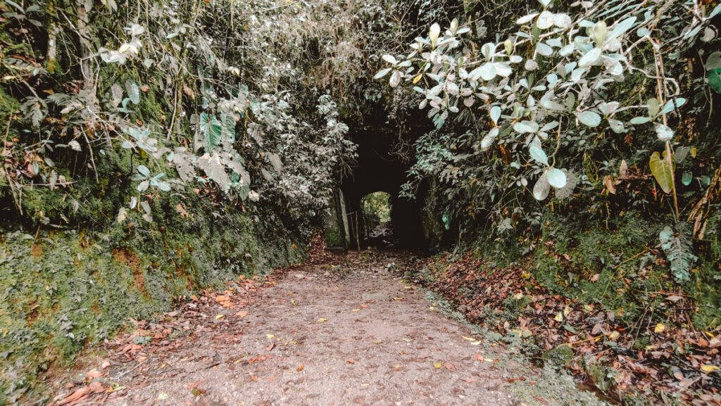 The dark, mysterious entrance to a tunnel formed by overhanging trees and dense foliage, a part of the adventurous path leading to the Santa Rita waterfall.