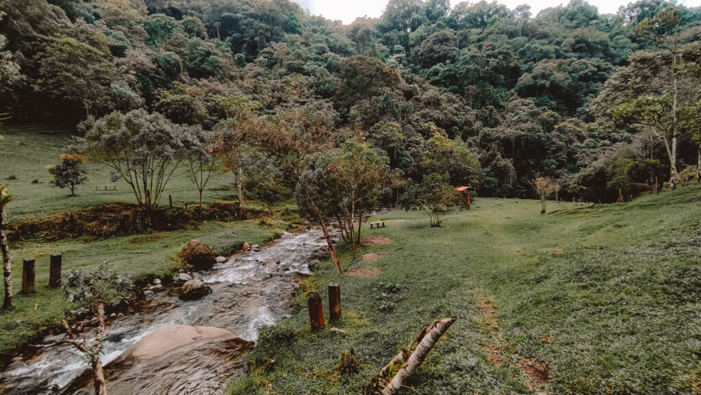 Lush green landscape featuring a small, flowing stream in the forefront, surrounded by grassy fields and dense forestation in Santa Rita, near Salento. The tranquility of the scene is accented by wooden benches and a solitary red-roofed structure, evoking a serene getaway spot.