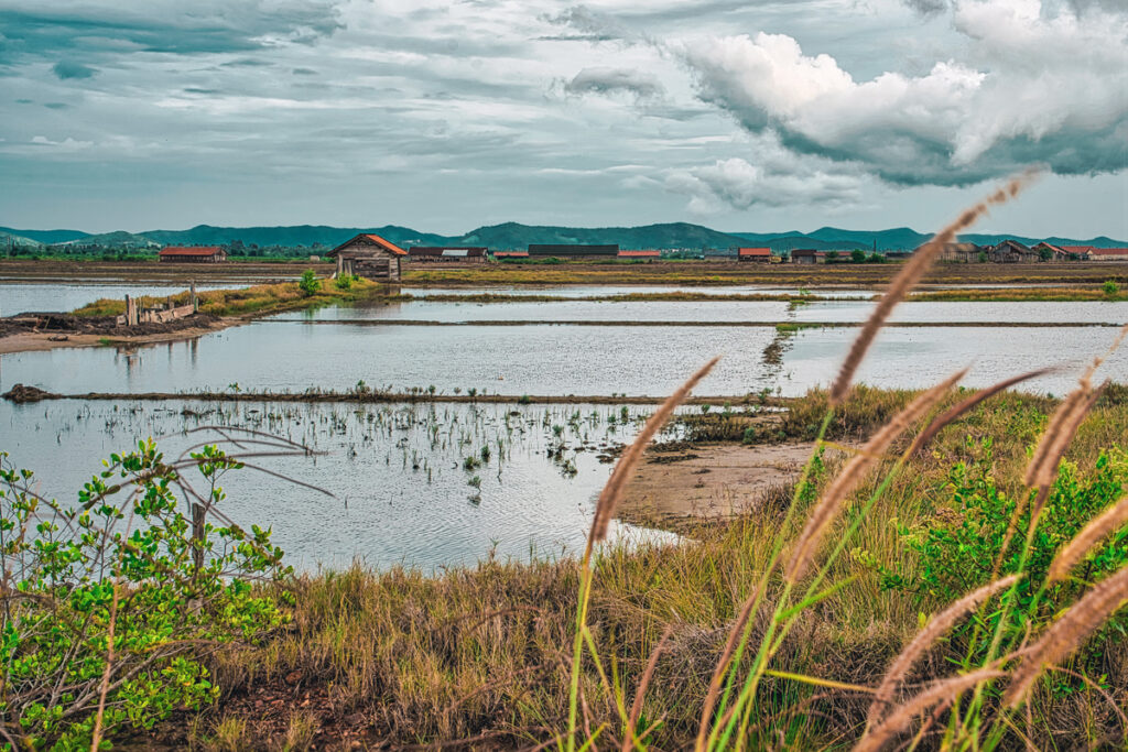 Expansive view of the salt fields in Kampot during the rainy season, showing pools of water reflecting the sky, with sparse vegetation and distant mountains.