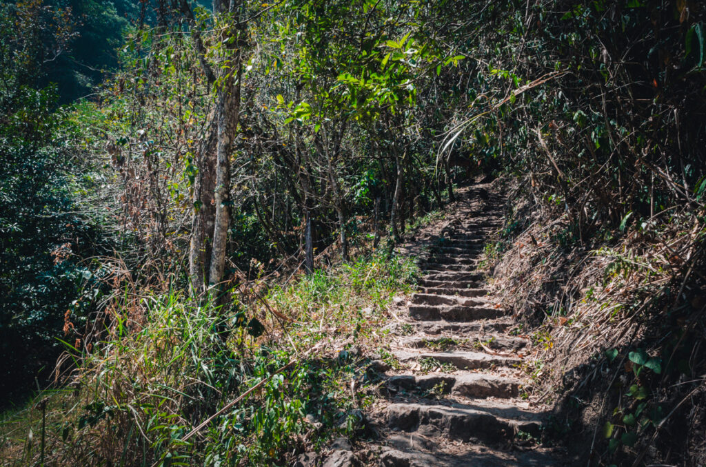 Scenic trail through lush forest near Juan Curi Waterfall.