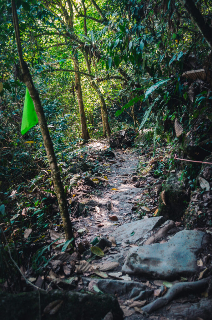 A serene forest trail with a colorful kite soaring high above, near the Juan Curi Waterfall.