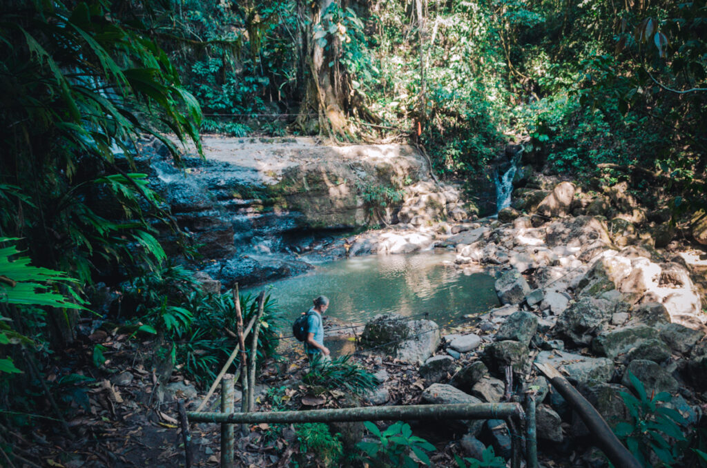 A person standing on a wooden bridge in the lush jungle of Juan Curi Waterfall.