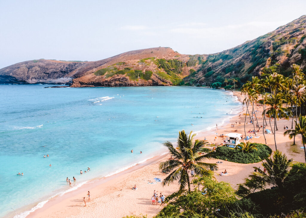 In this photo about Hawaii puns, you can see a bird's eye shot of a tropical beach with a crystal-clear blue sea. The beach is surrounded by swaying palm trees.