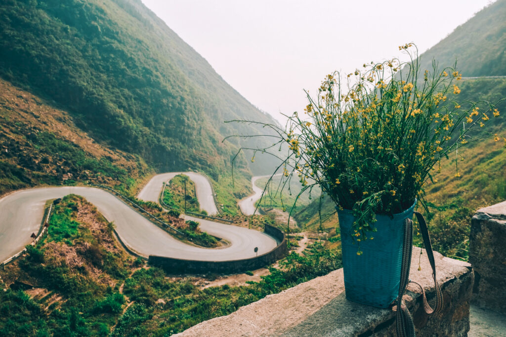 In this photo, you can see the winding streets around Ha Giang through lush green mountains. There's a flower pot on the right of the photo, standing on the edge of a road.