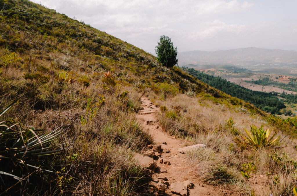 A dirt road leading to Iguaque National Park on a mountain next to the village of villa de Leyva. THe dirt road is surrounded by lush greenery.