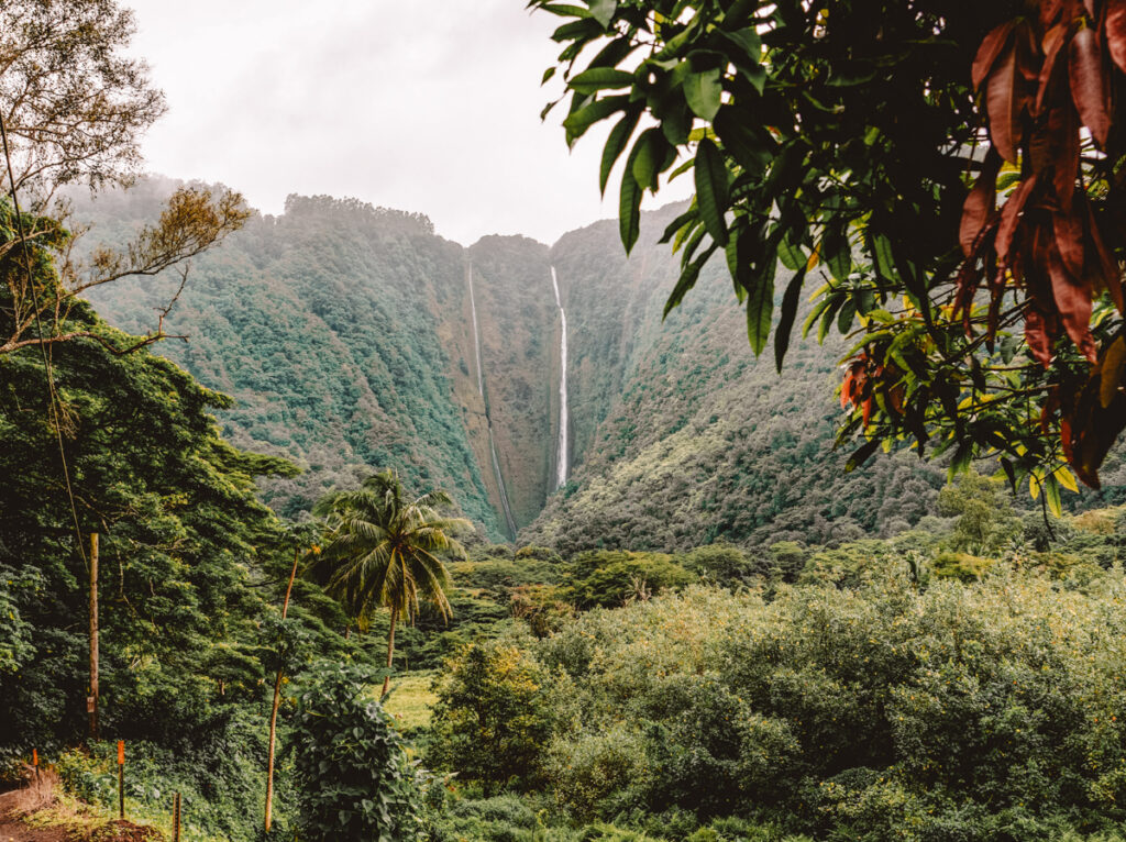In this photo about Hawaii puns, you can see lush greenery with a mountain range in the background. A small but high waterfall is trickling down the rocks.